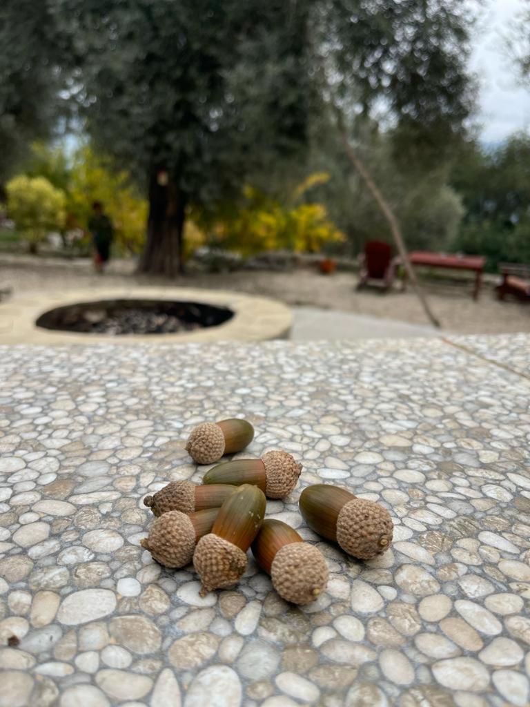 Antalya Bodrum Kayasi Dag Oteli Hasdumen Zewnętrze zdjęcie